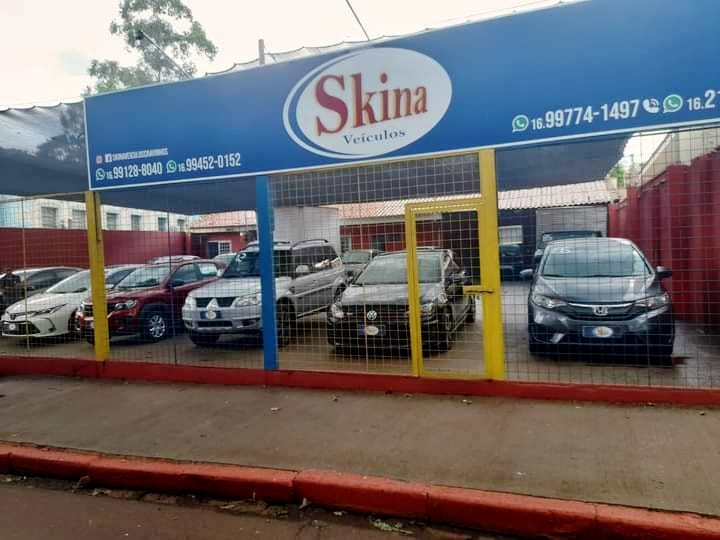 skina
